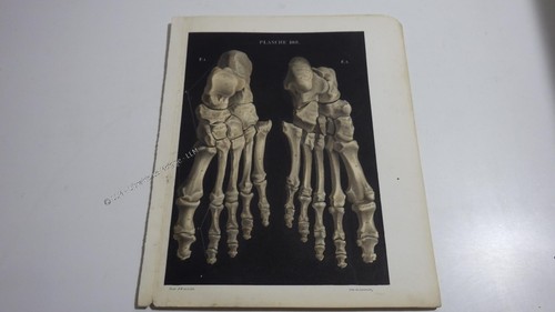 1850 lithographie couleur - 1850.lithographie,