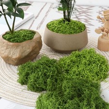 Tapis d'herbe mousse