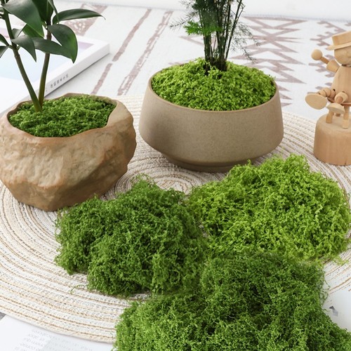 Tapis herbe mousse - d'herbe,
