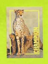 Carte incroyable animaux du