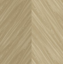 Papier Peint, Papier Peint