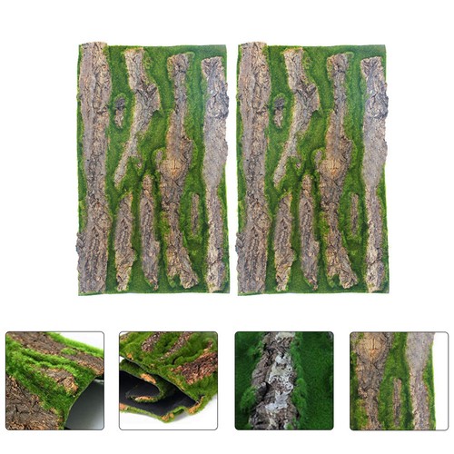 Pcs fond terrarium - de,