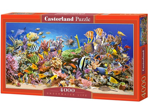Castorland underwater life - underwater,
