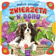 Maluch poznaje zwierzeta w domu, Unknown