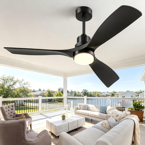 Ventilateur plafond avec - de,