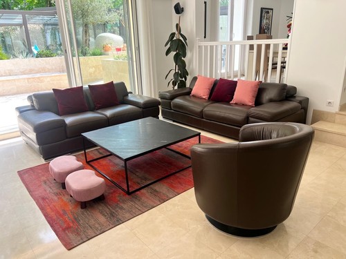 Salon canapés cuir - 🛋️,