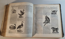 DUPINEY DE V.-Dictionnaire