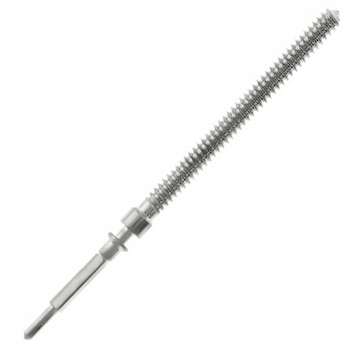 Rolex 2130 2135 winding - rolex,