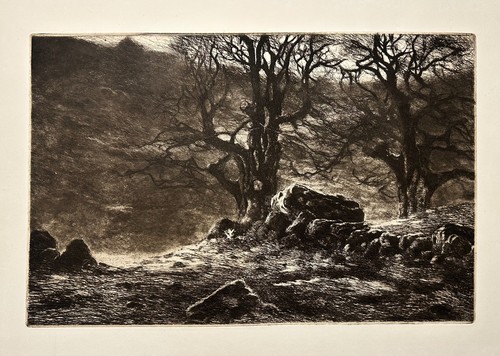 Eugène viala - viala,