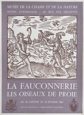 Chasse Fauconnerie Oiseau de
