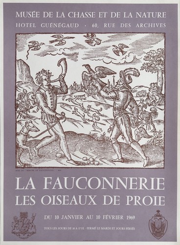Chasse fauconnerie oiseau - fauconnerie, de