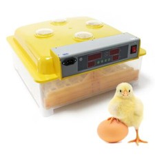 Couveuse automatique 48 oeufs
