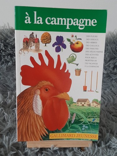 Campagne gallimard - a,