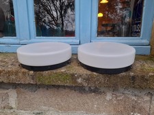 2 Plafonniers En Opaline