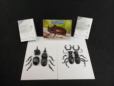 Maquette HELLER boite 79402 contenant 2 insecte scarabée 79401 / 79402 + manuels