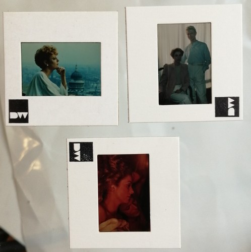 The hunger david bowie - bowie, deneuve
