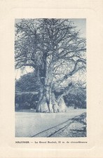 MADAGASCAR - MAJUNGA - le