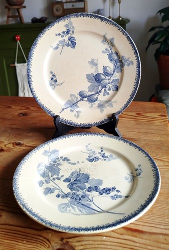 Assiettes faïence c - assiettes,