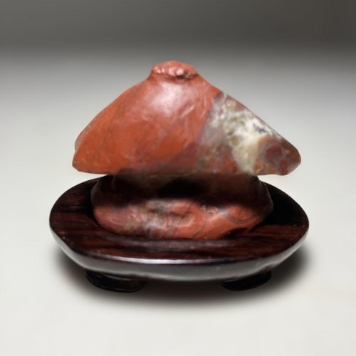 Bonsaï japonais suiseki - bonsaï,