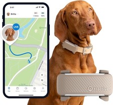 Collier GPS pour Chien | Élue