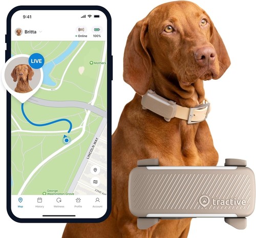 Collier gps pour chien élue - gps,