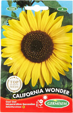 Germisem Graines Soleil Géant