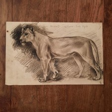Dessin Ancien Animalier Fond