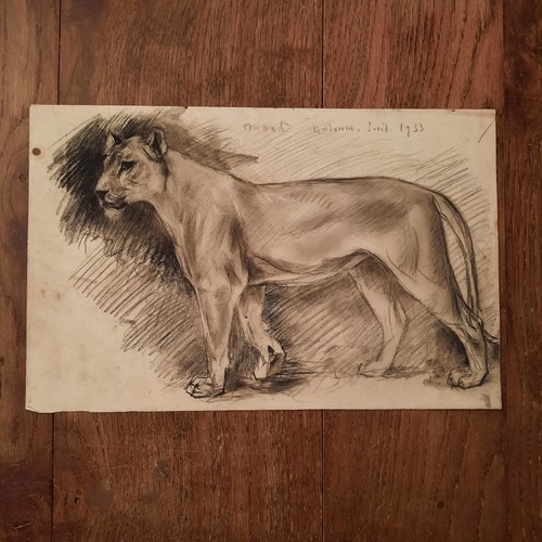 Dessin ancien animalier fond - ancien,