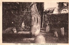 CPA 22 - TREBEURDEN (Côtes