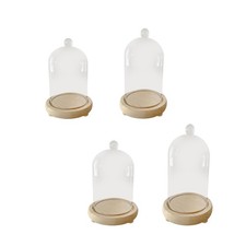 Cloche d'exposition en verre