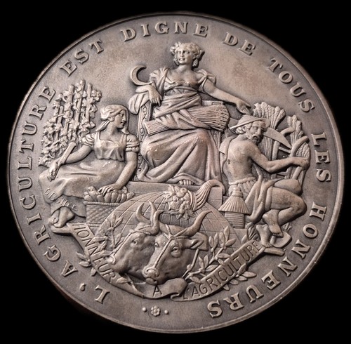 Médaille française - médaille,