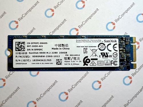 Ssd sandisk 256go - sandisk,