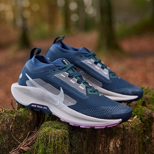 Nike pegasus trail gtx femme - nike,