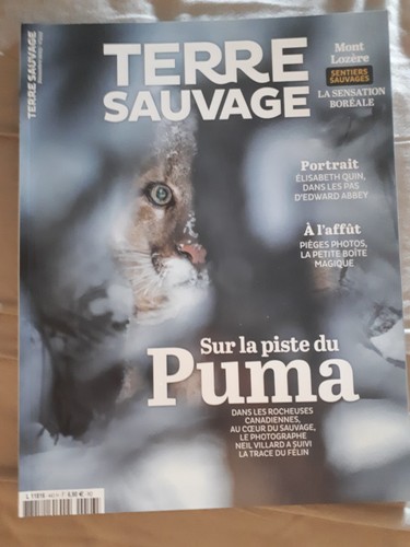 Terre sauvage 443 sur piste - terre,