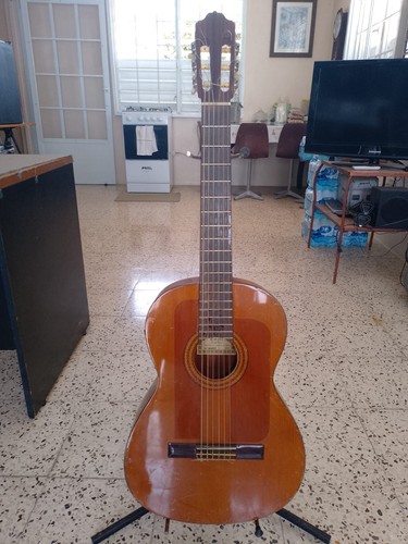 Guitarra acustica esteve - guitarra,