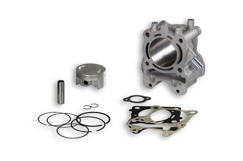 3115671 malossi set ø61ø13 - malossi,