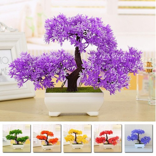 Pot plastique plante - pot, en