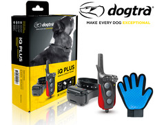Dogtra iQ-Plus Expandable 400