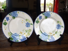lot de 2 assiettes à dessert kg Lunéville décor hortensia salins france