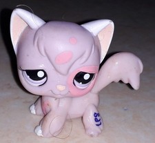 Petshop chat angora 1726