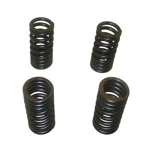 Valve springs for daytona - for,