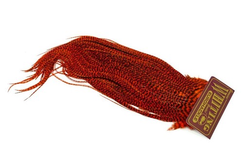 Whiting farms eurohackle - whiting,