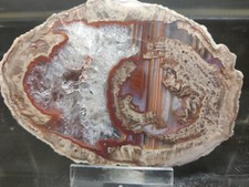 CRIS 26N OLD STOCK  DEMIE LITHOPHYSE POLIE MASSIF DE L'ESTEREL VAR FRANCE 253G