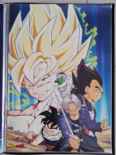 Affiche poster dragon - dragon, z