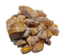 Résine d'épinette, Picea