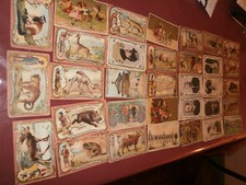 images anciennes Chromo