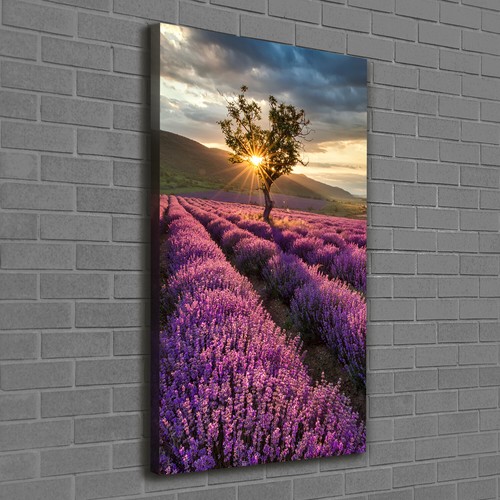 Tulup tableau sur toile image - sur,