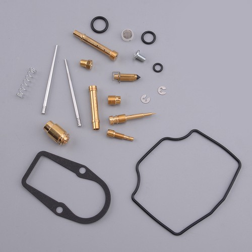 Carburetor repair kit rebuild - repair,