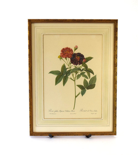 Framed Engraving Joseph Pierre