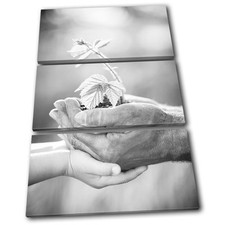 Grandfather Eco Floral  Love